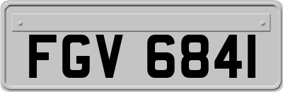 FGV6841