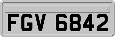 FGV6842