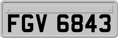FGV6843
