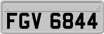 FGV6844