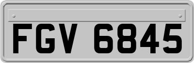 FGV6845