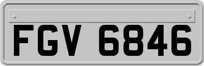 FGV6846