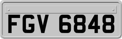 FGV6848
