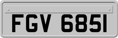 FGV6851