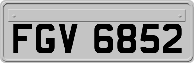 FGV6852