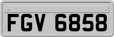 FGV6858