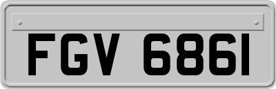 FGV6861