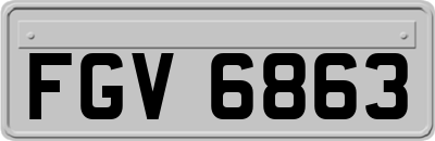 FGV6863