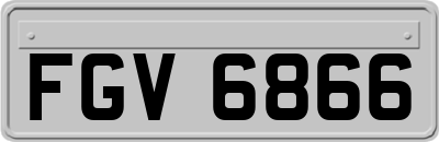 FGV6866