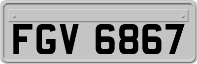FGV6867