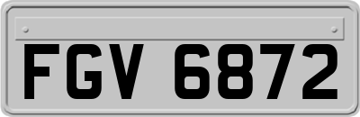 FGV6872