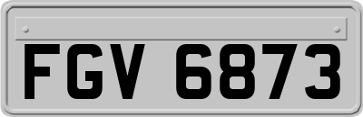 FGV6873