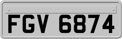 FGV6874