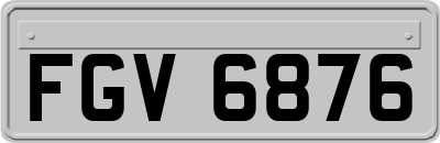 FGV6876