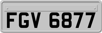 FGV6877