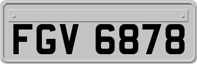 FGV6878