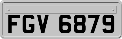 FGV6879
