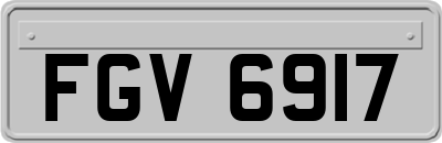 FGV6917