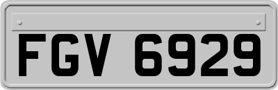 FGV6929