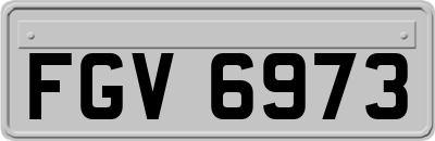 FGV6973