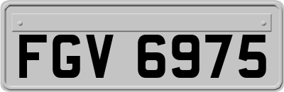 FGV6975