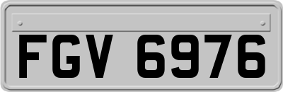 FGV6976