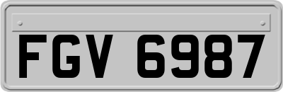 FGV6987