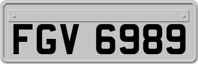 FGV6989