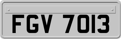 FGV7013