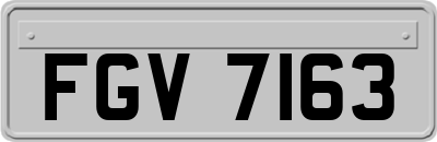 FGV7163