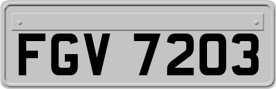 FGV7203