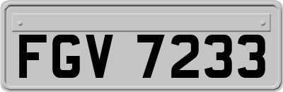FGV7233