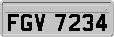 FGV7234
