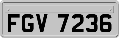 FGV7236
