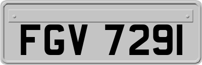FGV7291