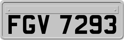 FGV7293