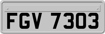 FGV7303
