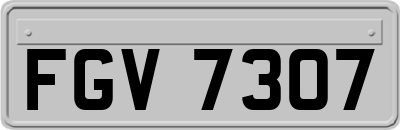 FGV7307