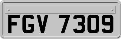 FGV7309