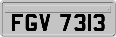 FGV7313