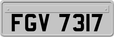 FGV7317