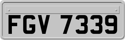 FGV7339