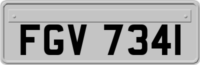 FGV7341