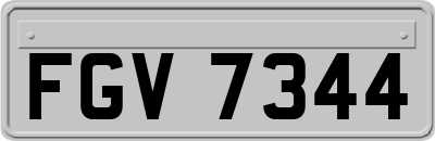 FGV7344