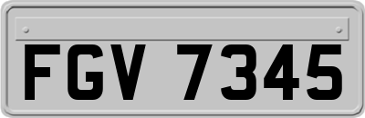 FGV7345