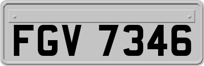 FGV7346