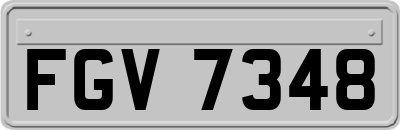 FGV7348