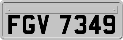 FGV7349