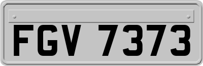 FGV7373