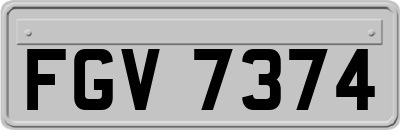 FGV7374